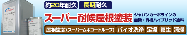 約20年耐久スーパー耐候屋根塗装